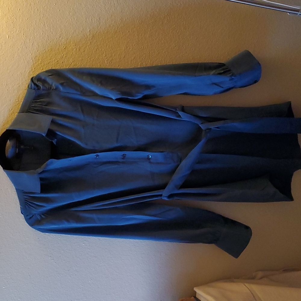 BCBG Maxazria Blue Silk Dress, XXS